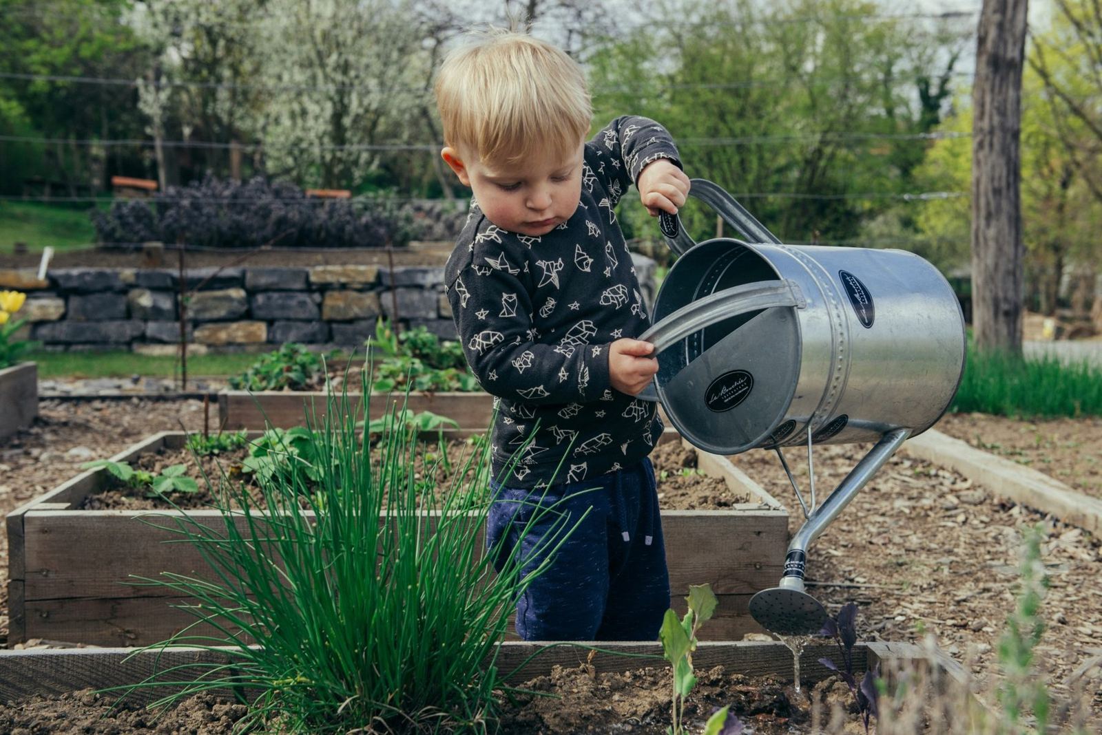 Child watering a garden